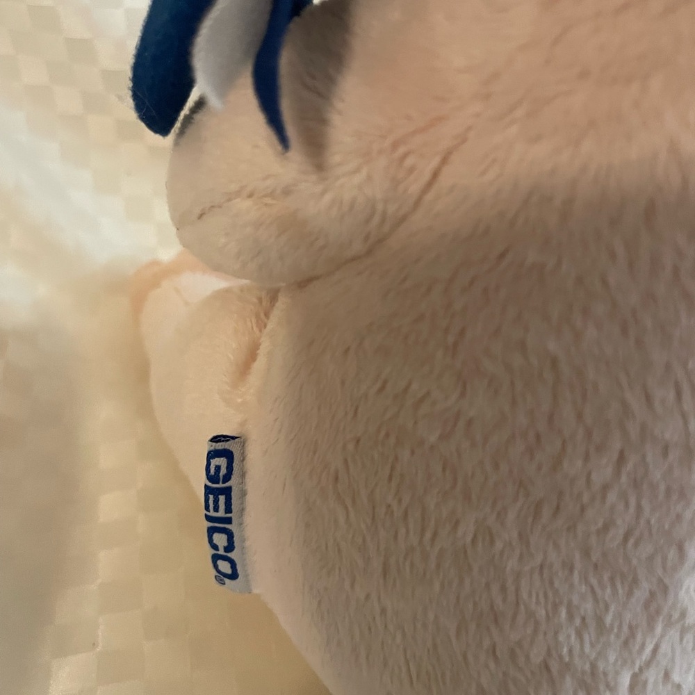 Geico’s Maxwell Pig - Picture 3 of 9